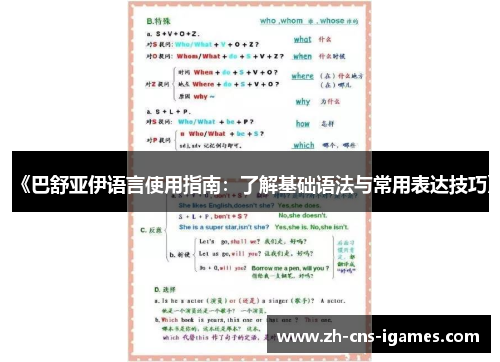 《巴舒亚伊语言使用指南：了解基础语法与常用表达技巧》