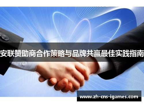 安联赞助商合作策略与品牌共赢最佳实践指南