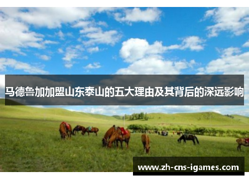 马德鲁加加盟山东泰山的五大理由及其背后的深远影响