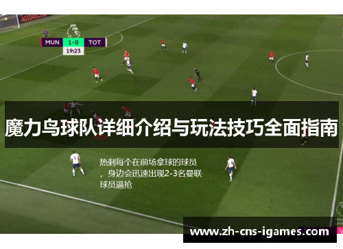 魔力鸟球队详细介绍与玩法技巧全面指南