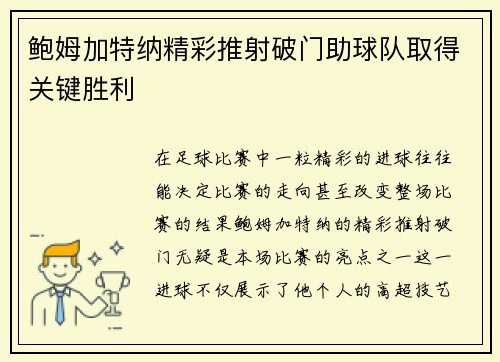 鲍姆加特纳精彩推射破门助球队取得关键胜利 鲍姆加特纳精彩推射破门助球队取得关键胜利